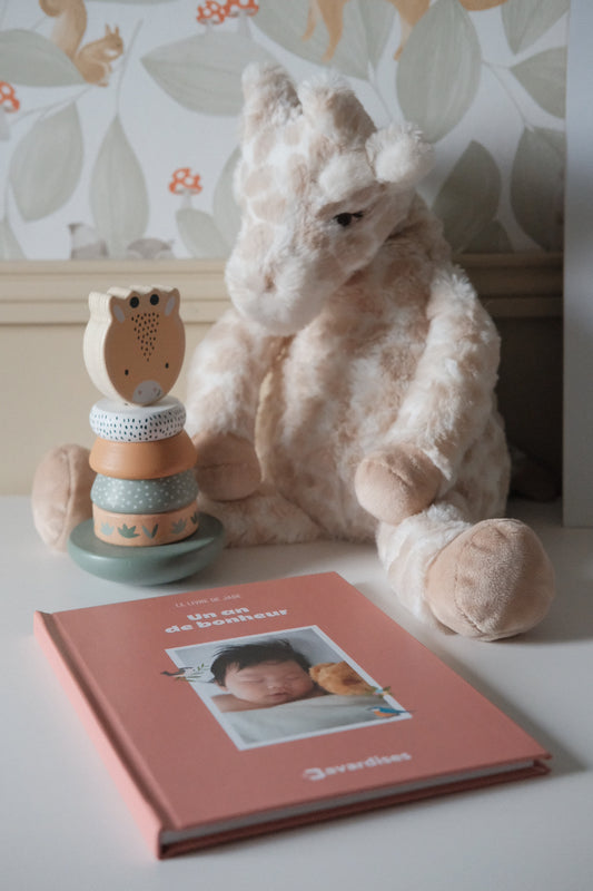 Livre de naissance personnalisé